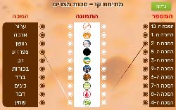 מתיחת קו מכות מצרים תמונה, שם ומספר המכה